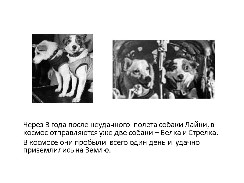 Через 3 года после неудачного  полета собаки Лайки, в космос отправляются уже две